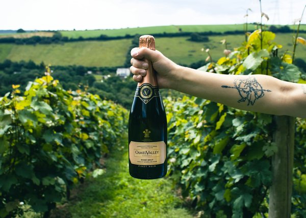 Comment organiser une visite des vignobles en Champagne, France : dégustations et itinéraires ?